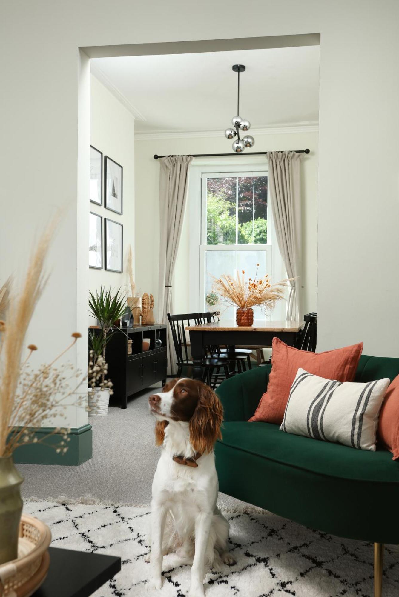 New Luxury For 2024 - Central Plymouth House - Sleeps 10 - Access To Plymouth Town - Close To The Barbican - Pets Welcome - Parking Available - By Luxe Living By Sophia Buitenkant foto